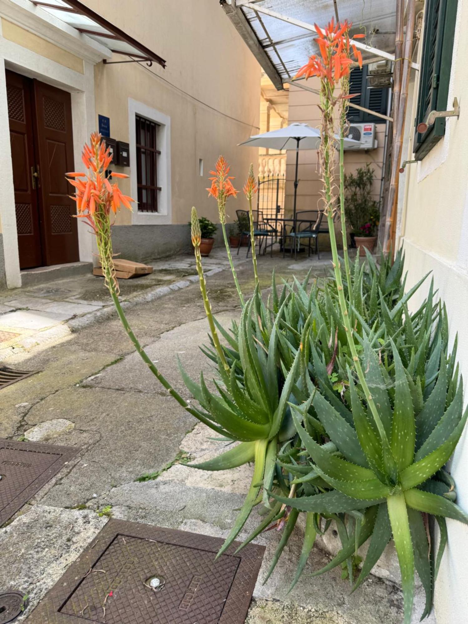 Apartment Mirna - What You See Is What You Get Opatija Ngoại thất bức ảnh