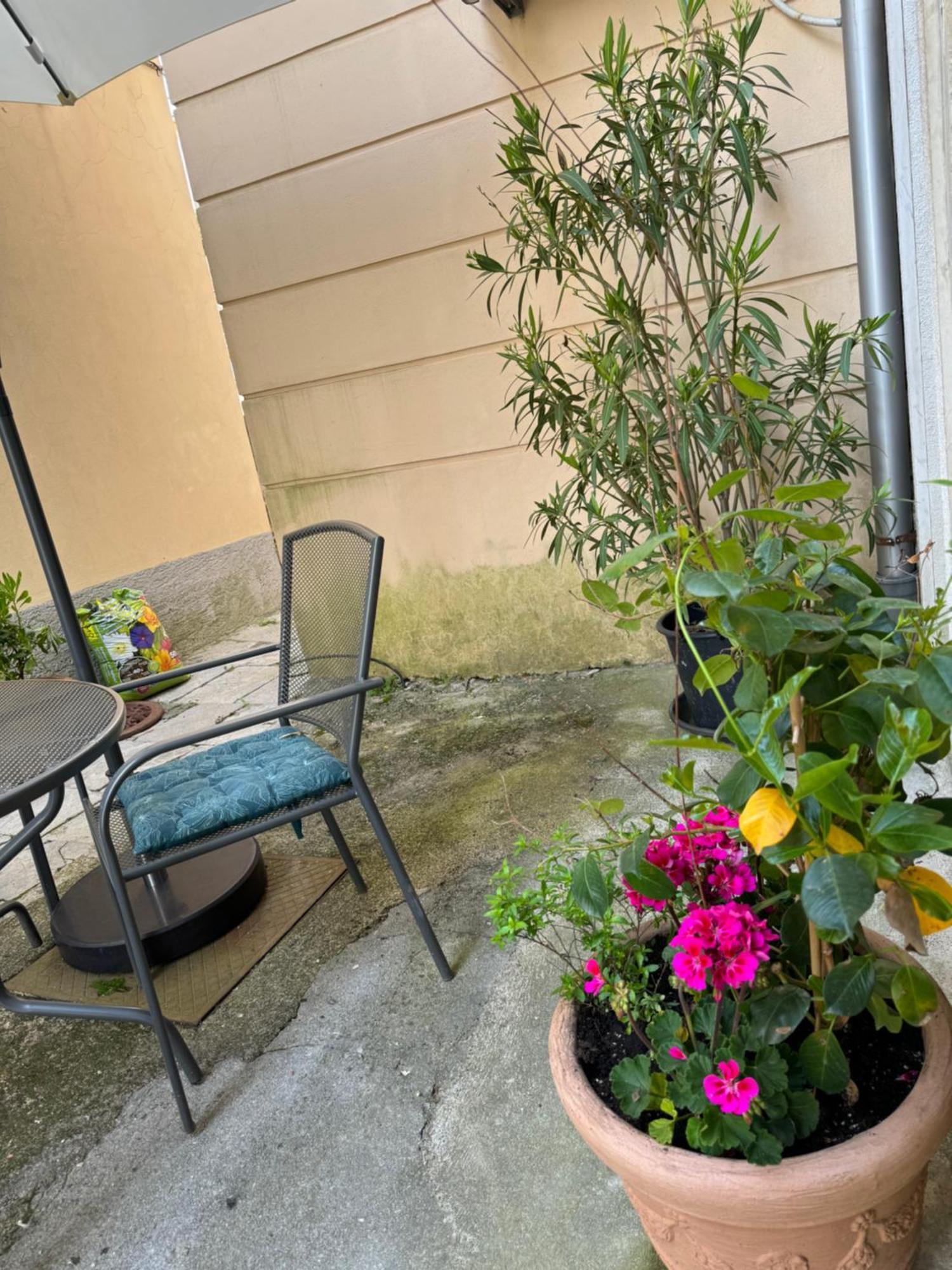 Apartment Mirna - What You See Is What You Get Opatija Ngoại thất bức ảnh