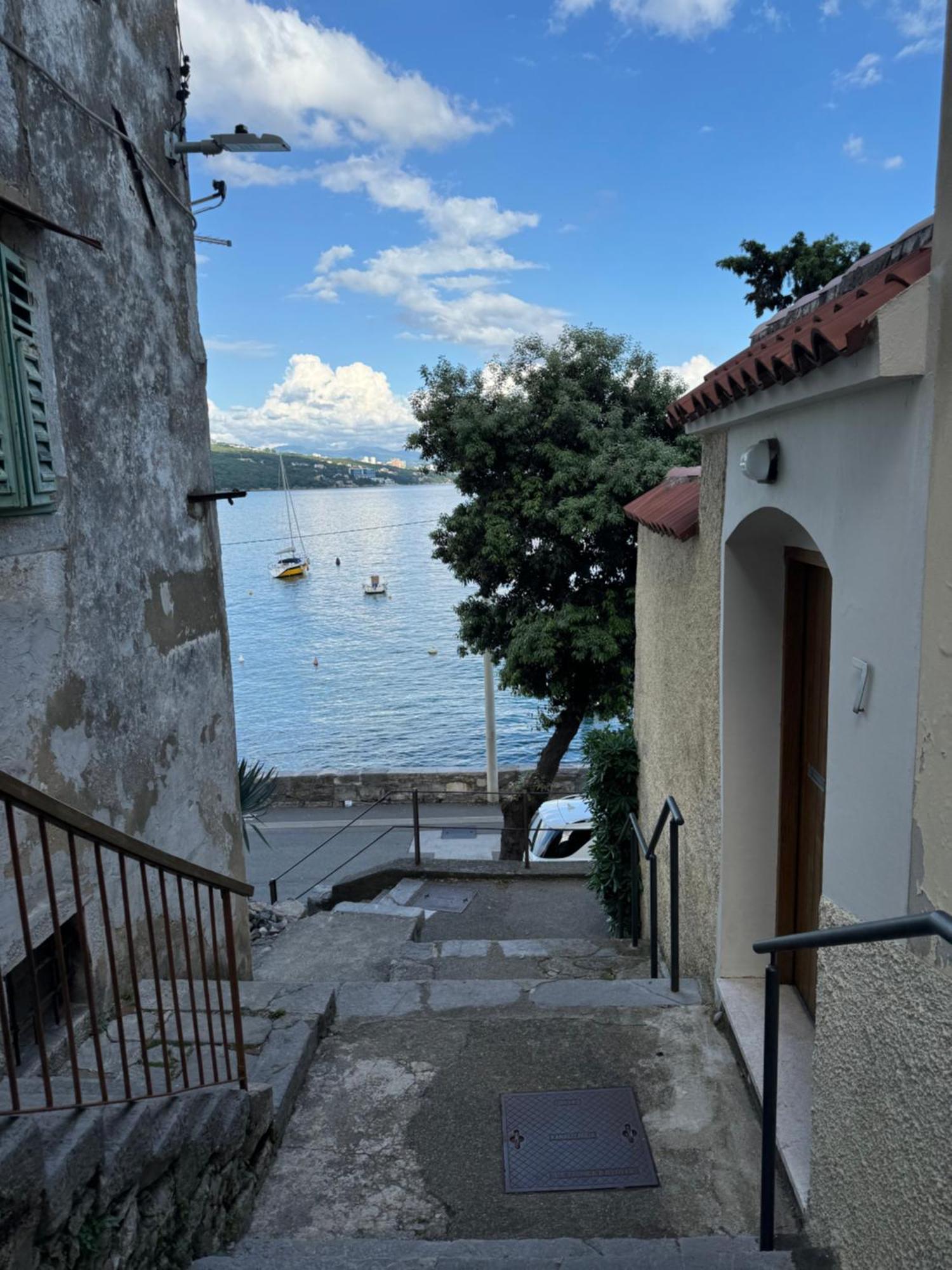 Apartment Mirna - What You See Is What You Get Opatija Ngoại thất bức ảnh