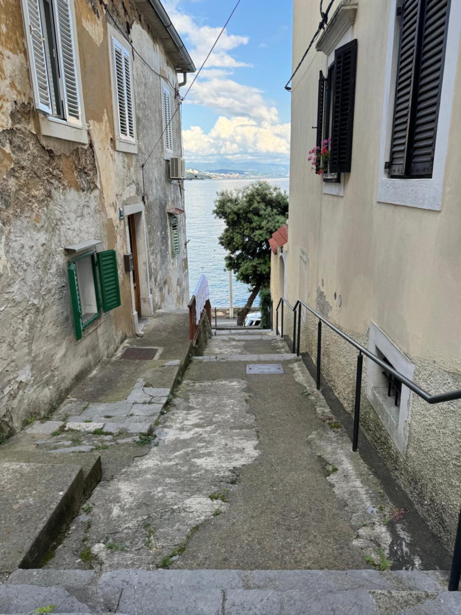 Apartment Mirna - What You See Is What You Get Opatija Ngoại thất bức ảnh